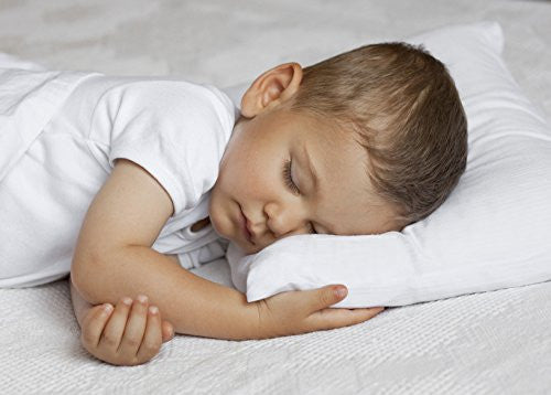 Cuddly Sleepers 100% Hypoallergenic Toddler Pillow w/ TWO FREE PILLOWCASES! Dr. Recommended. Made in USA.